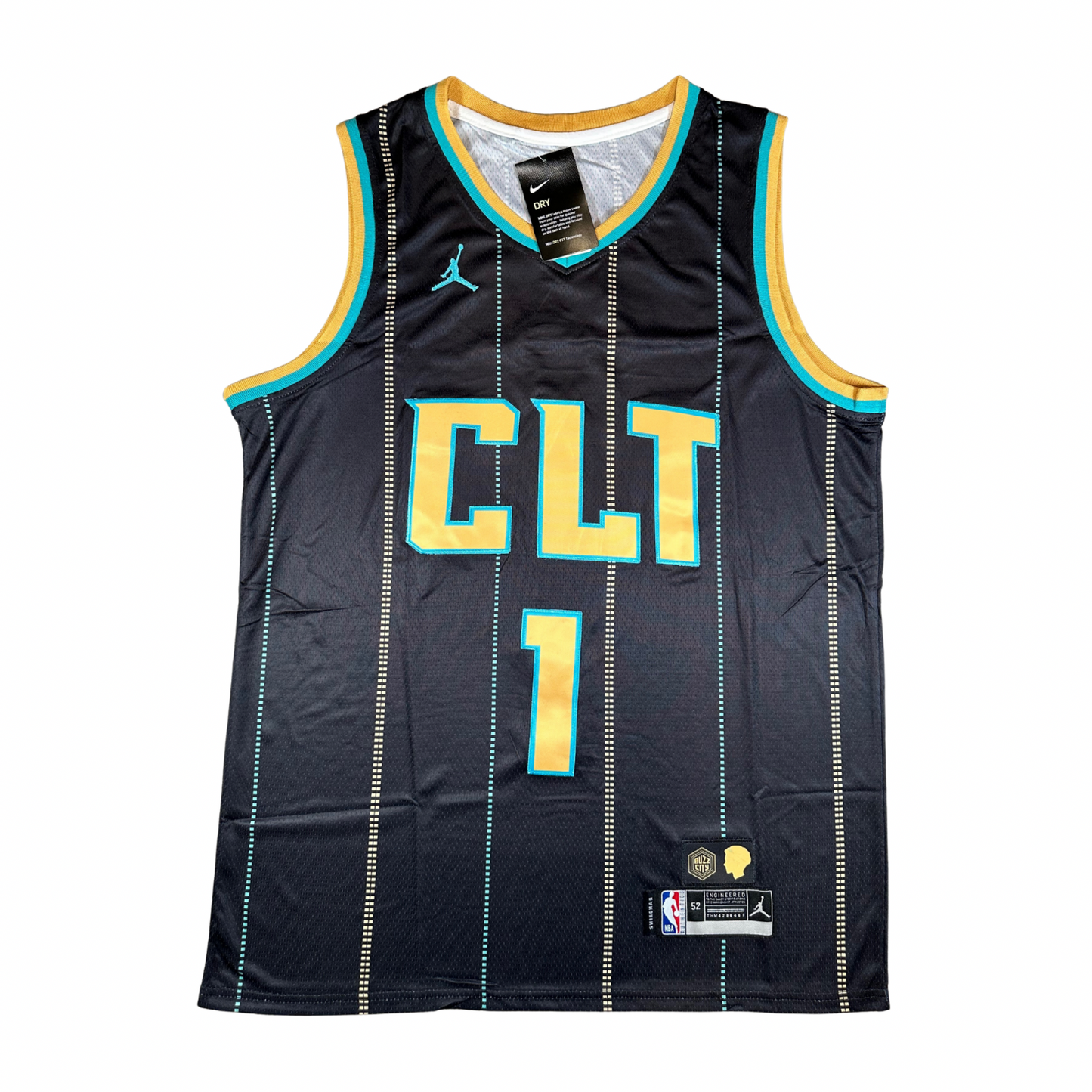 Lamelo Ball Charlotte Hornets NBA Nike Swingman Stitched Jersey