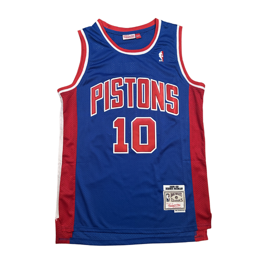 Dennis Rodman Detroit Pistons "1988-1989 Season" NBA Mitchell & Ness Hardwood Classics Swingman Stitched Jersey