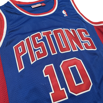 Dennis Rodman Detroit Pistons "1988-1989 Season" NBA Mitchell & Ness Hardwood Classics Swingman Stitched Jersey