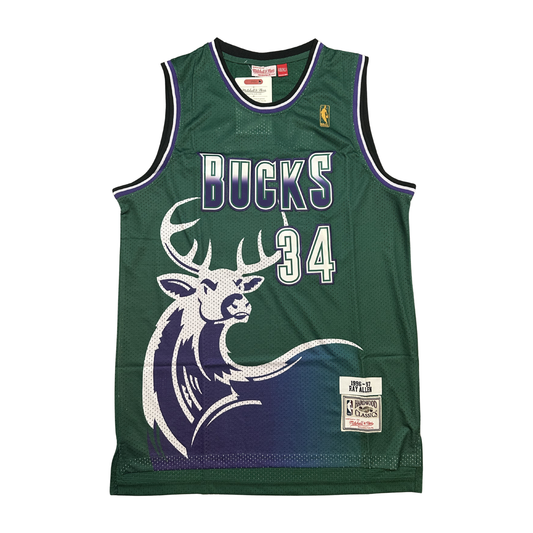Ray Allen Milwaukee Bucks "1996-1997 Season" NBA Mitchell & Ness Hardwood Classics Swingman Stitched Jersey