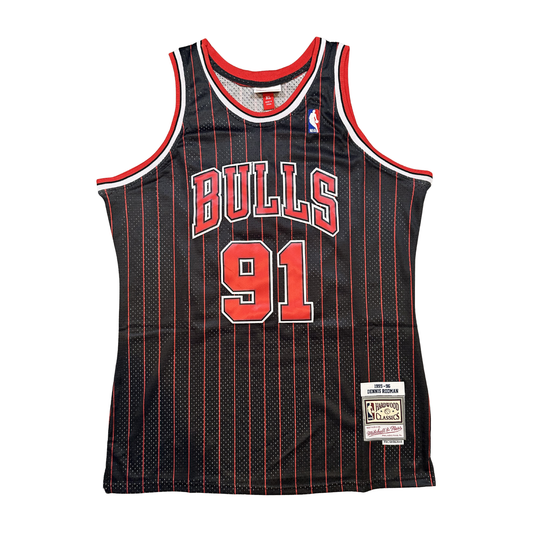 Dennis Rodman Chicago Bulls "1995-1996 Season" NBA Mitchell & Ness Hardwood Classics Swingman Stitched Jersey