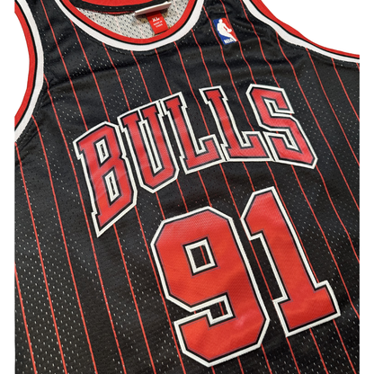 Dennis Rodman Chicago Bulls "1995-1996 Season" NBA Mitchell & Ness Hardwood Classics Swingman Stitched Jersey